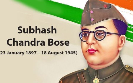 Services Offered by Zomato